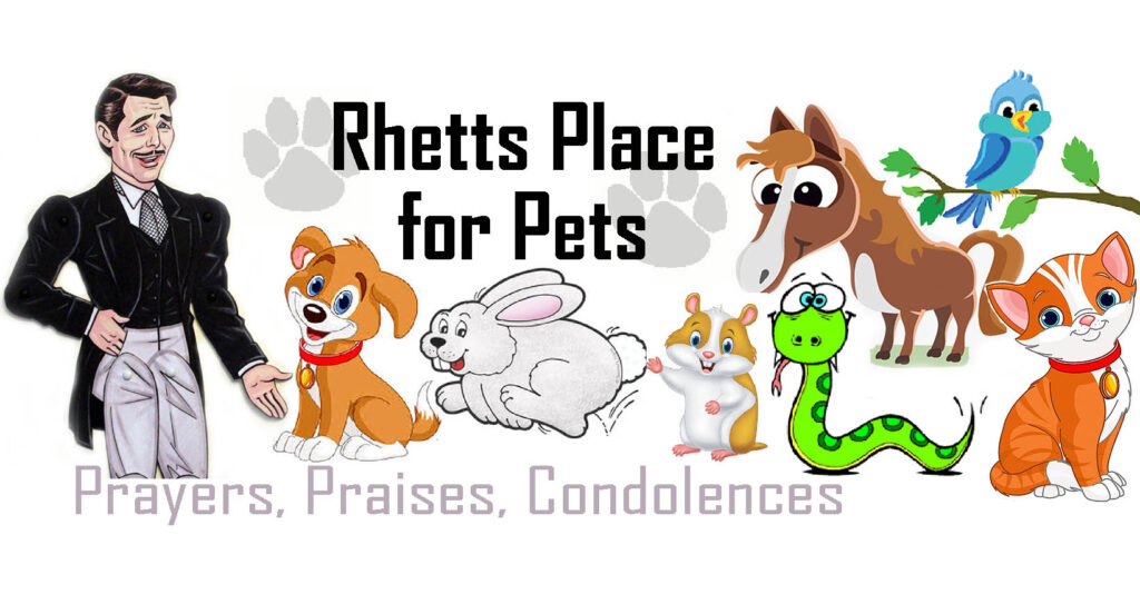Rhetts_Place_for_Pets4