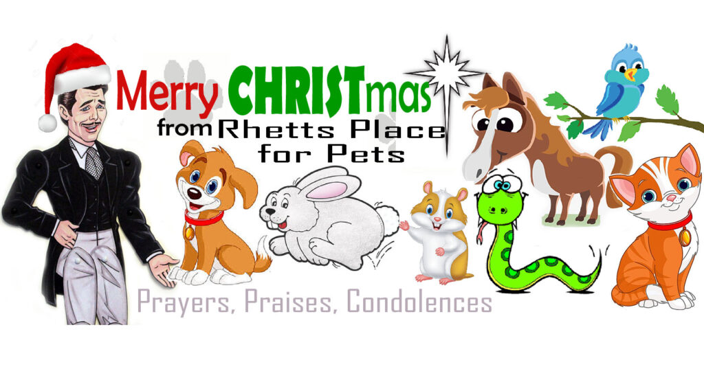 Rhetts_Place_for_Pets4_CHRISTMAS